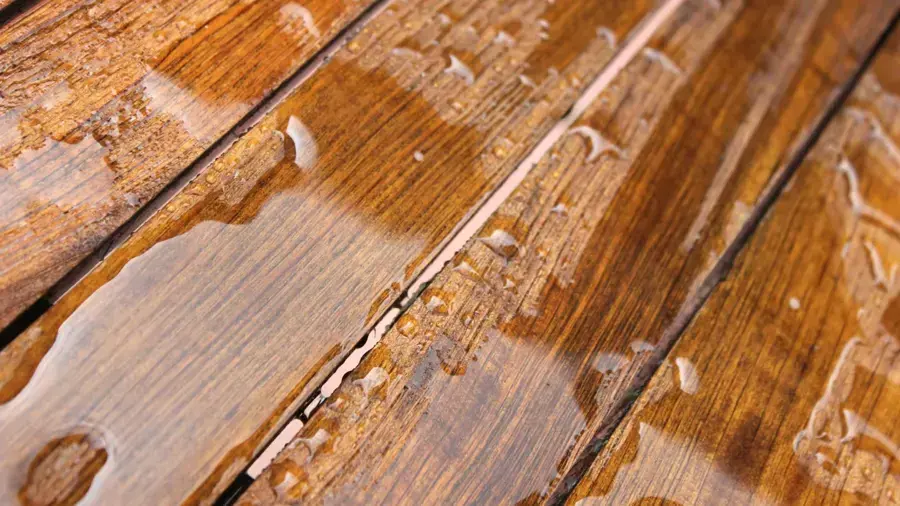 Water beading on a hardwood floor before extraction in a Wilmington home