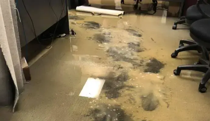 Muddy water spread across an office floor during a Wilmington commercial loss