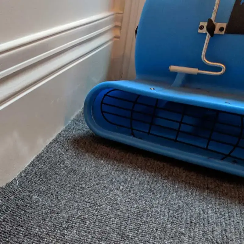 A blue air mover drying carpet beside a baseboard, shown for Carson