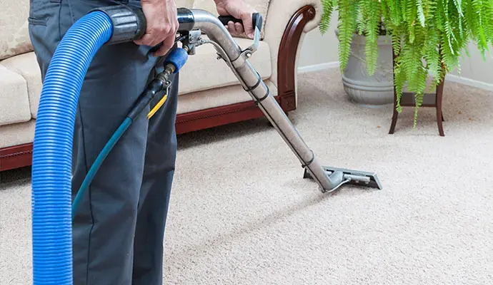 Extraction wand and hose pulling water from carpet in the living room of a Lomita home