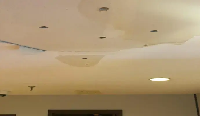 Water stains spreading across a ceiling around recessed lights after a leak in a Wilmington home